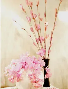 干枯了的美丽也典雅(图) 干枯了的美丽也典雅(图)