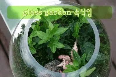10����Ȥֲ���Ƽ������¼ұ��һ��΢�ͻ�԰(ͼ)