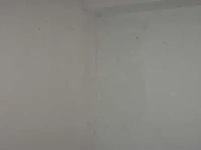 苯苯看房:世纪朝阳 你伤害了我 却不动声色 苯苯看房:世纪朝阳 你伤害了我 却不动声色