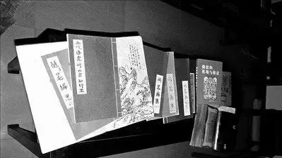 揭密“隐士”窦唯的居家生活 宁静古致的家居(图) 揭密“隐士”窦唯的居家生活 宁静古致的家居(图)