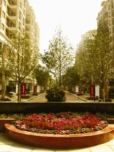 芝麻街上的财富:天时、地利、人和 芝麻街上的财富:天时、地利、人和