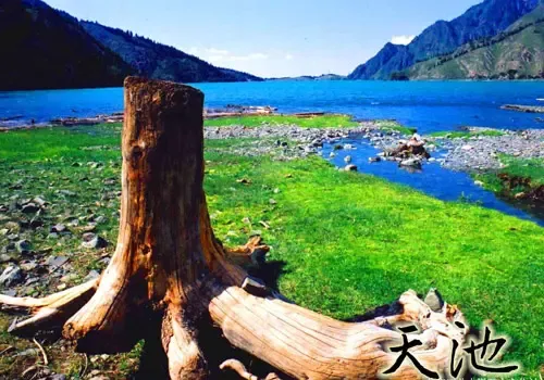 ��Ʒ������