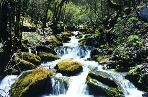 ��Ʒ������