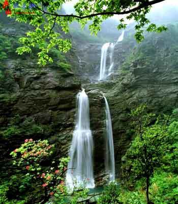 ��Ʒ������