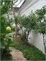 刘嘉玲苏州置业 拙政园畔千万园林别墅将交房 刘嘉玲苏州置业 拙政园畔千万园林别墅将交房