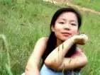 ���Ӫ���ഺ�����¼�,������ɫ�ľɻ�