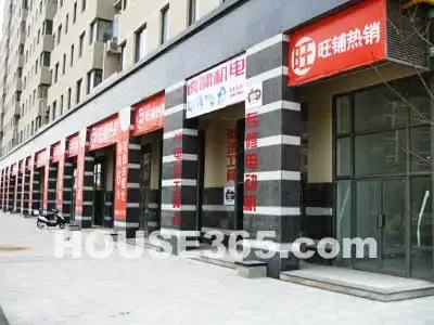 南京发展中的奥体商铺:助跑多久才能起飞? 南京发展中的奥体商铺:助跑多久才能起飞?