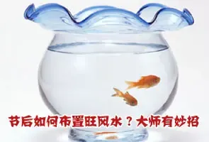 节后如何布置旺风水(组图)