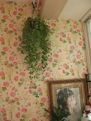 ���������Լ����� ����ŮDIY��������(ͼ)