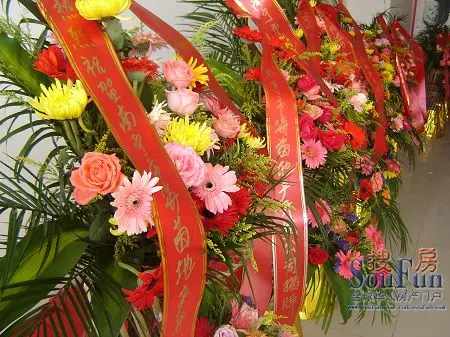 恭贺单位送来的花篮