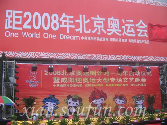 北京奥运会吉祥物_2008北京奥运会收入(2)