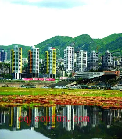 苏建波:一手盘玉 一手兵法(图) 苏建波:一手盘玉 一手兵法(图)