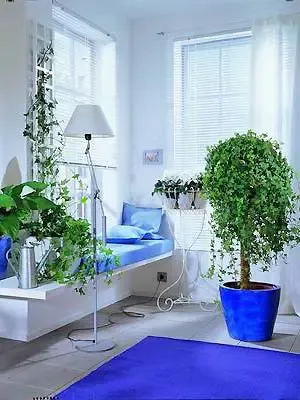 家居风水杂谈-居家不可不知的21条风水禁忌(图)
点击图片查看下一页 家居风水杂谈-居家不可不知的21条风水禁忌(图)
