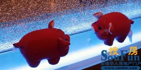 视频特辑:第一期 设计师谈样板房 设计师 样板房 装修