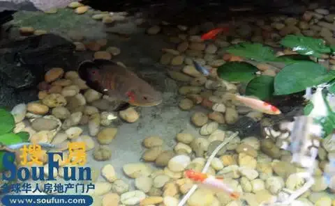 视频特辑:第一期 设计师谈样板房 设计师 样板房 装修