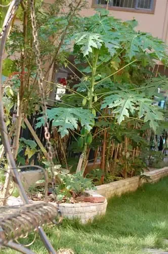 搜房网友爱家:双层复式精致 花园浪漫写意(图) 家居 装修 美图