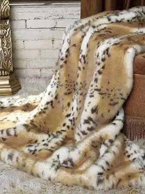���� ��Ʒ �Ҿ� װ��