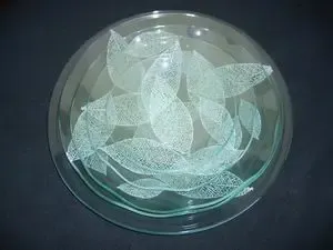 ��Ө��͸�Ĳ����;� �üҾ���������ˬ(ͼ)