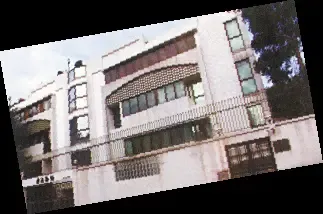 肥姐沈殿霞欲卖楼套现 二千万港元做遗产(组图) 肥姐沈殿霞欲卖楼套现 二千万港元做遗产(组图)
