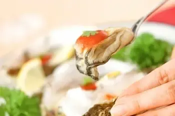 圣诞精品美食前菜与色拉 圣诞精品美食前菜与色拉