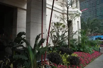 融信·宽域社区实景 融信·宽域社区实景