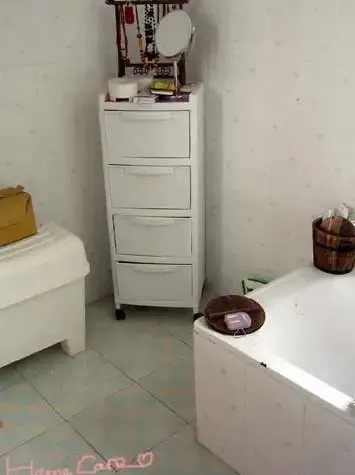 租房也疯狂 看同居密友装修租房如花绽放(组图) 租房 同居密友 疯狂 设计