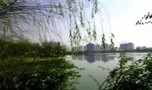 ����������԰