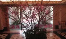 ���巿��ڴ����һ�