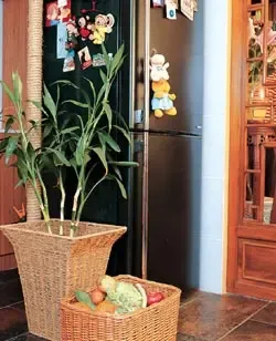 让你家春意盎然 布置居室“鲜花”助兴添彩(图) 让你家春意盎然 布置居室“鲜花”助兴添彩(图)