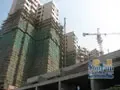 �ú�ͬ����
