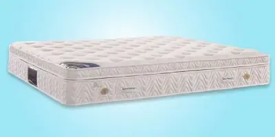 ��Ʒ�Ƽ�֮��ŵ�׽𻤼�����
