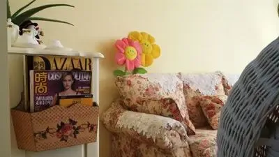 一万元软装的田园居室 一万元软装的田园居室