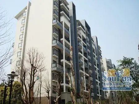 ��������һ��֮�� ������������ʥ���Ǹ翴����