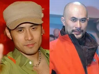 李嘉欣竟是人造美女 亚洲明星整容集体 李嘉欣竟是人造美女 亚洲明星整容集体