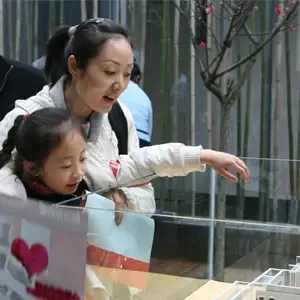 2008搜房理性置业看房 春雨并未阻挡网友热情 2008搜房理性置业看房 春雨并未阻挡网友热情