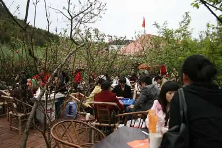 鑫苑名家“心愿放飞” 缤纷桃花节浪漫龙泉行 鑫苑名家“心愿放飞” 缤纷桃花节浪漫龙泉行