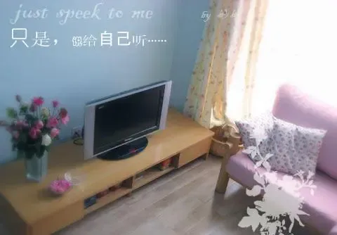 ��ɫ�ĵ�������ǽ�����׵��ӹ�
