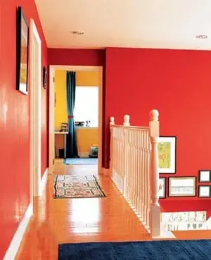 ����Ů�� СС�ռ�Ҳ��װ���������ζ��