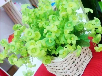大二女生租来30平破旧屋 37图神奇变身豪宅(图) 大二女生租来30平破旧屋 37图神奇变身豪宅(图)