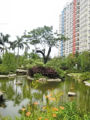 白云新城在“寒冬”中发热 在“中调”中嬗变 白云新城在“寒冬”中发热 在“中调”中嬗变