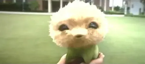 七仔看到美女 七仔看到美女
