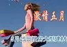5月18日耗子带你学装修
