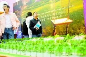 120042007208158135447265311 难沾假日喜气 京沪深楼市人气低迷