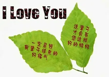 合肥二手房母亲节献礼--<em>悠悠寸草心</em> 报得三春晖