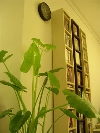 瞧厨房的高位椅,可以坐着炒菜哦 瞧厨房的高位椅,可以坐着炒菜哦