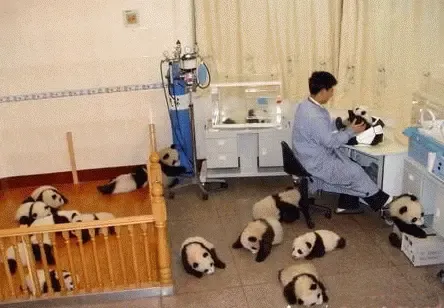 点击查看图片 点击查看图片