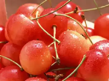 反季水果易致儿童性早熟 反季水果易致儿童性早熟