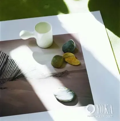 12��������鲼�� ��Ȼʵ�����������ʱ��(ͼ)