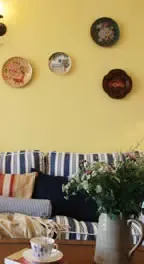 �����������Կ�ɫ����