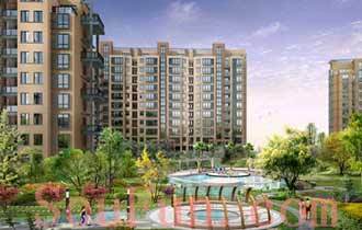 杭州小区排名_杭州拱苑小区内部(3)